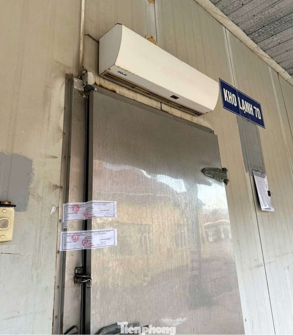 Vụ pat&ecirc; "d&iacute;nh" lợn bệnh: Đồ hộp Hạ Long tạm ngừng sản xuất, người lao động ra sao?- Ảnh 4.