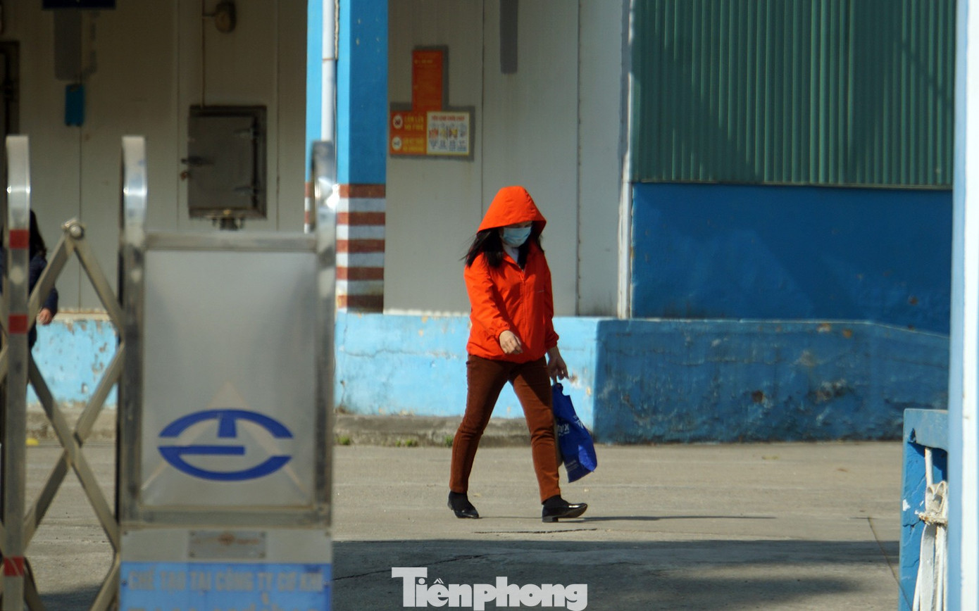 Vụ pat&ecirc; "d&iacute;nh" lợn bệnh: Đồ hộp Hạ Long tạm ngừng sản xuất, người lao động ra sao?- Ảnh 1.