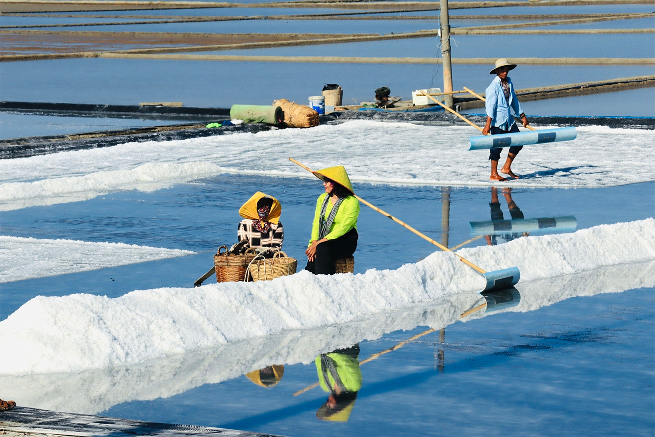 Ngọn núi ở TP.HCM cao hơn 10m: Được ví như "núi dễ leo nhất Việt Nam", xung quanh là hệ sinh thái hiếm có- Ảnh 6. Ngọn núi ở TP.HCM cao chỉ hơn 10m: Được ví như