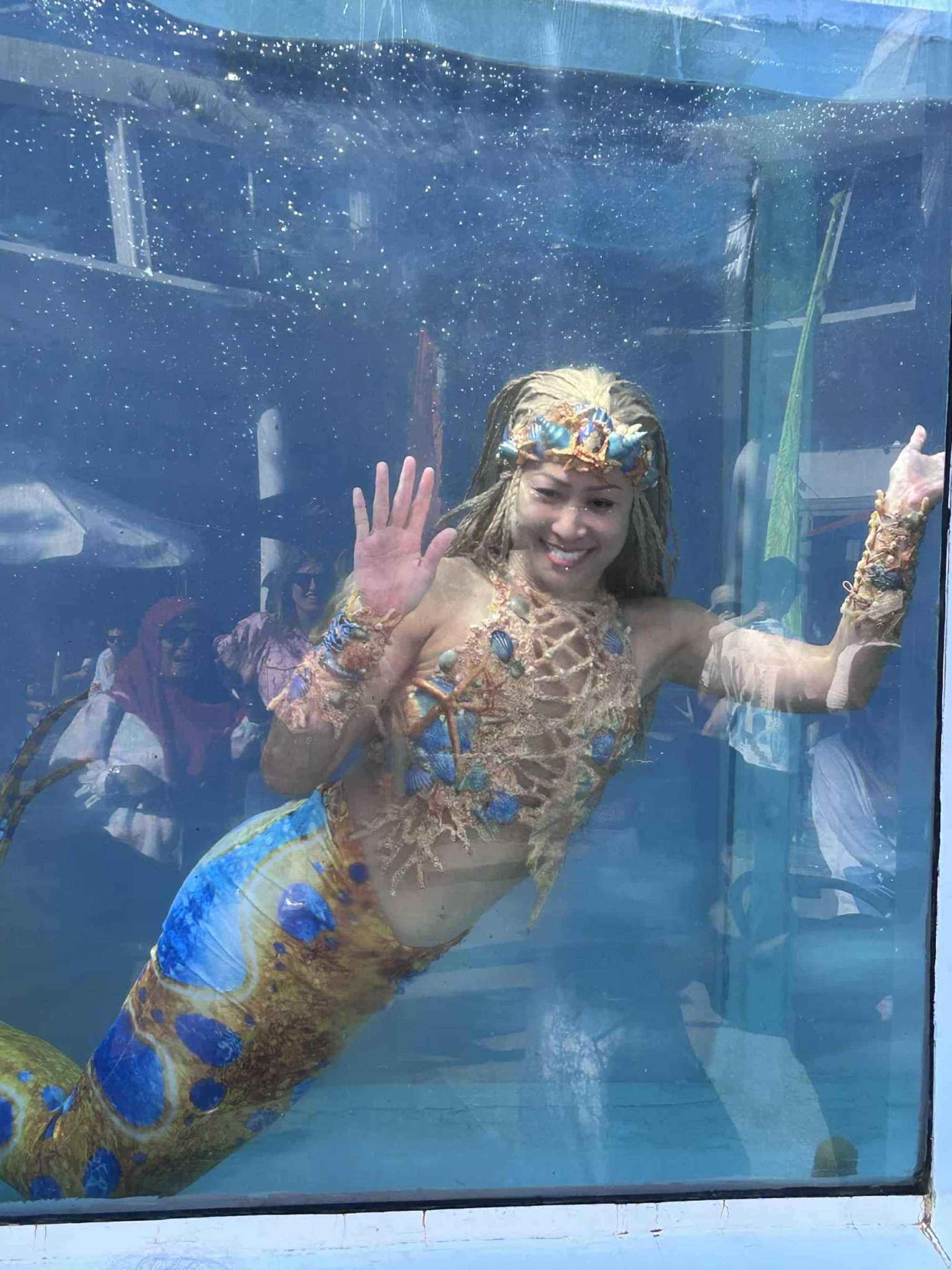 Gặp gỡ n&agrave;ng ti&ecirc;n c&aacute;- Ảnh 5.