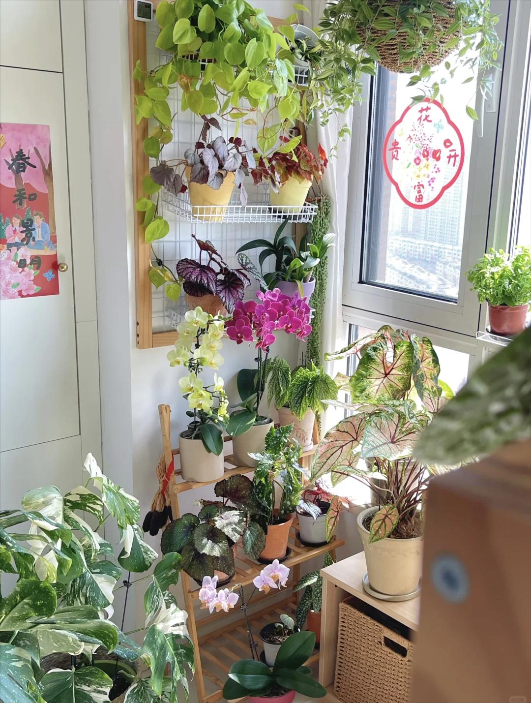 Kh&ocirc;ng nh&agrave; vườn, kh&ocirc;ng biệt thự: Ban c&ocirc;ng của b&agrave; mẹ trẻ khiến h&agrave;ng ngh&igrave;n người muốn sống chậm lại- Ảnh 3.