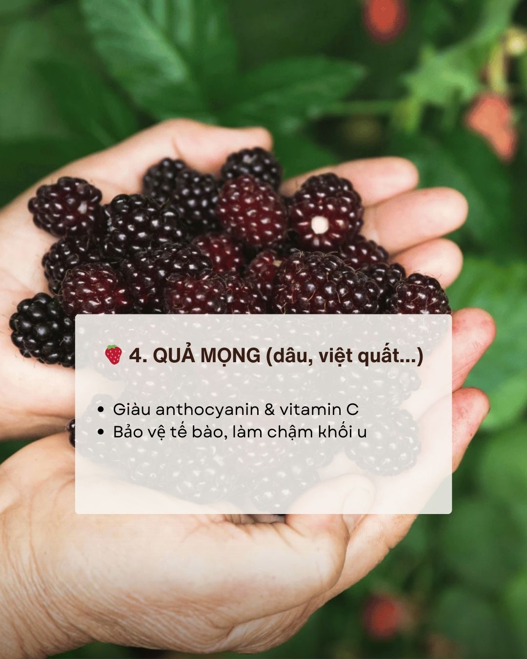 Không phải thuốc bổ nhưng ăn đúng 7 thực phẩm này giúp giảm nguy cơ ung thư Không phải thuốc bổ nhưng ăn đúng 7 thực phẩm này giúp giảm nguy cơ ung thư