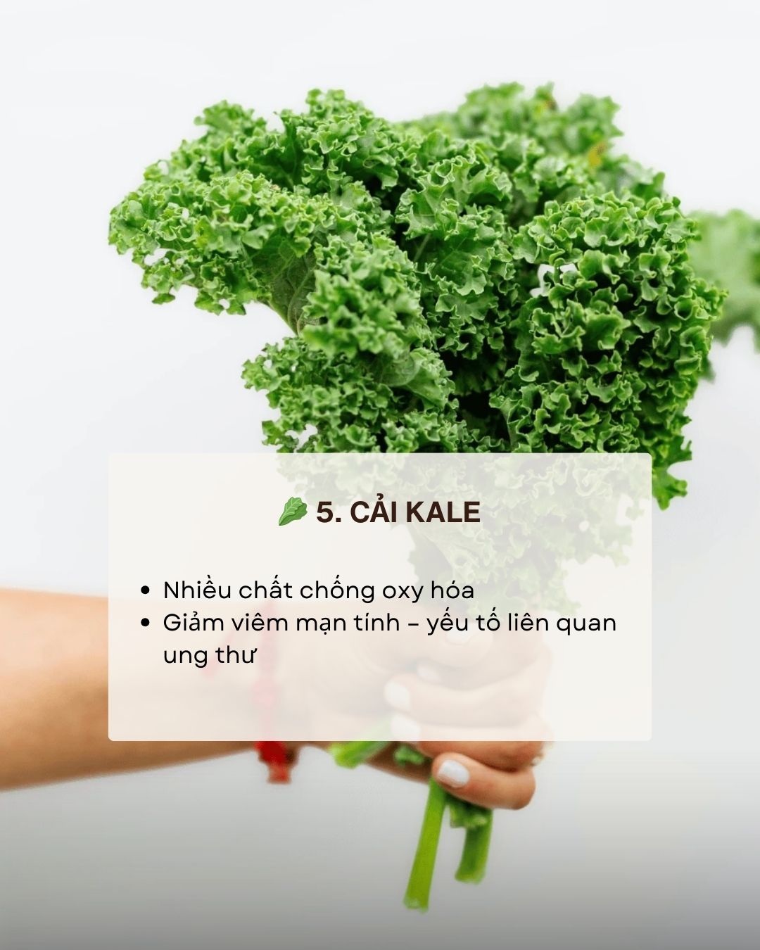 Không phải thuốc bổ nhưng ăn đúng 7 thực phẩm này giúp giảm nguy cơ ung thư Không phải thuốc bổ nhưng ăn đúng 7 thực phẩm này giúp giảm nguy cơ ung thư