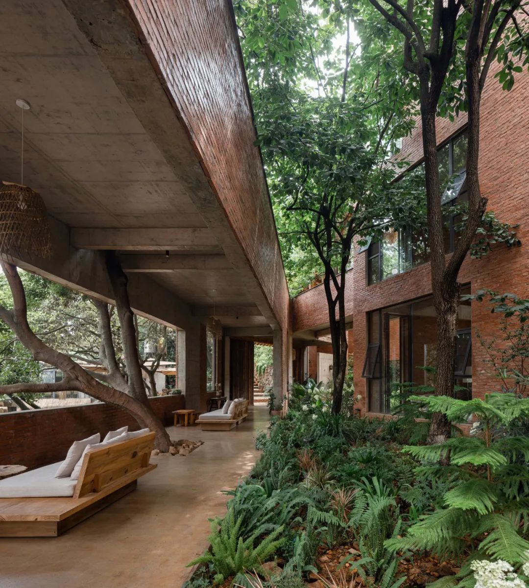 D&ugrave;ng sạch tiền tiết kiệm 10 năm để về qu&ecirc; x&acirc;y nh&agrave;: Quyết định "kh&ocirc;ng t&iacute;nh gi&aacute;" khiến c&ocirc; g&aacute;i 34 tuổi trả gi&aacute; đắt nhưng đổi lại cả cuộc đời- Ảnh 2.