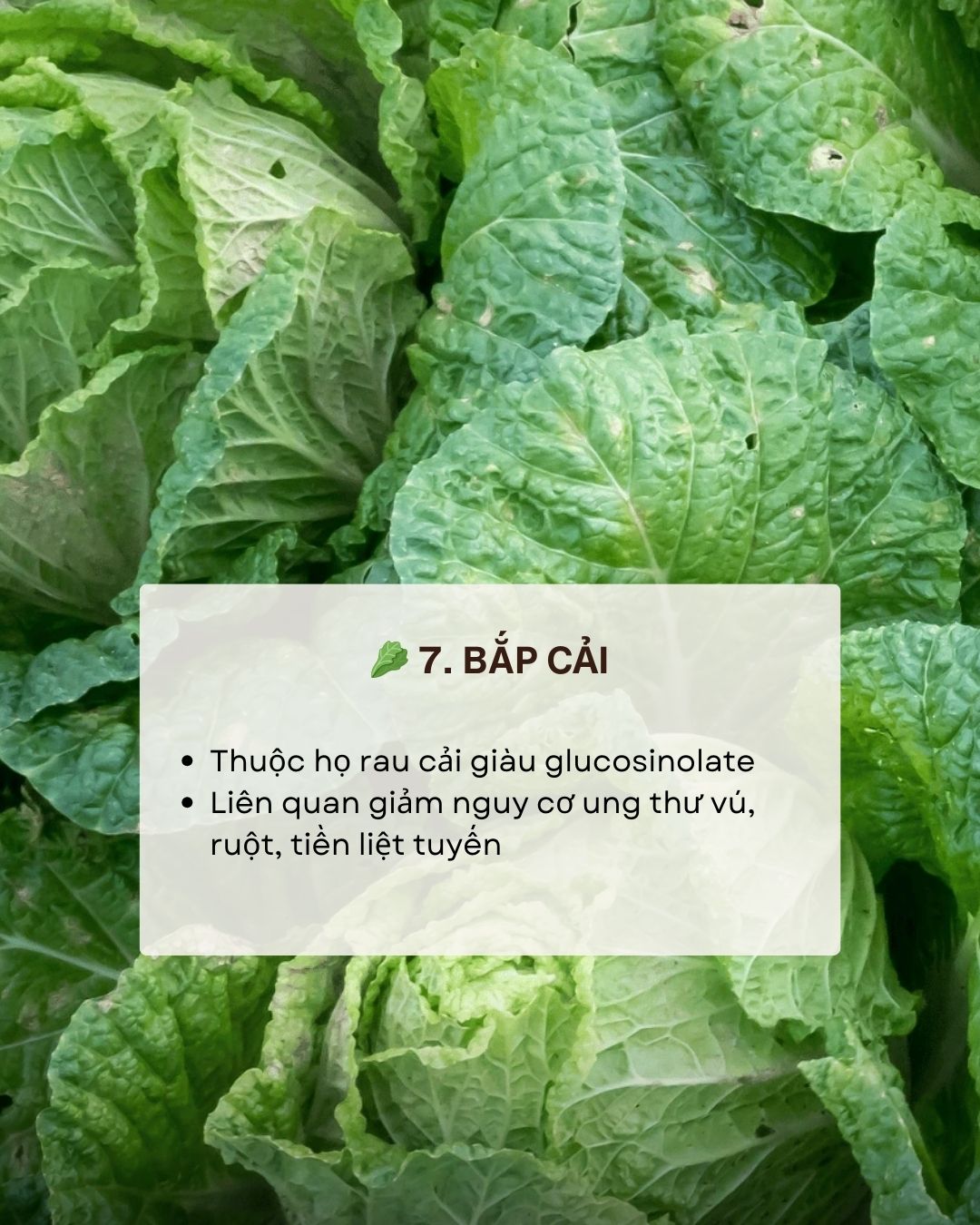 Không phải thuốc bổ nhưng ăn đúng 7 thực phẩm này giúp giảm nguy cơ ung thư Không phải thuốc bổ nhưng ăn đúng 7 thực phẩm này giúp giảm nguy cơ ung thư