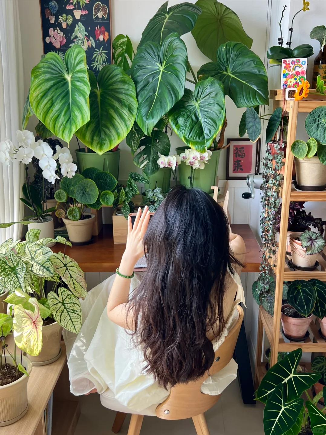 Kh&ocirc;ng nh&agrave; vườn, kh&ocirc;ng biệt thự: Ban c&ocirc;ng của b&agrave; mẹ trẻ khiến h&agrave;ng ngh&igrave;n người muốn sống chậm lại- Ảnh 2.