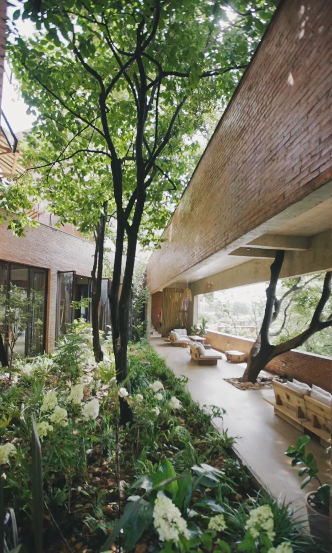 D&ugrave;ng sạch tiền tiết kiệm 10 năm để về qu&ecirc; x&acirc;y nh&agrave;: Quyết định "kh&ocirc;ng t&iacute;nh gi&aacute;" khiến c&ocirc; g&aacute;i 34 tuổi trả gi&aacute; đắt nhưng đổi lại cả cuộc đời- Ảnh 10.