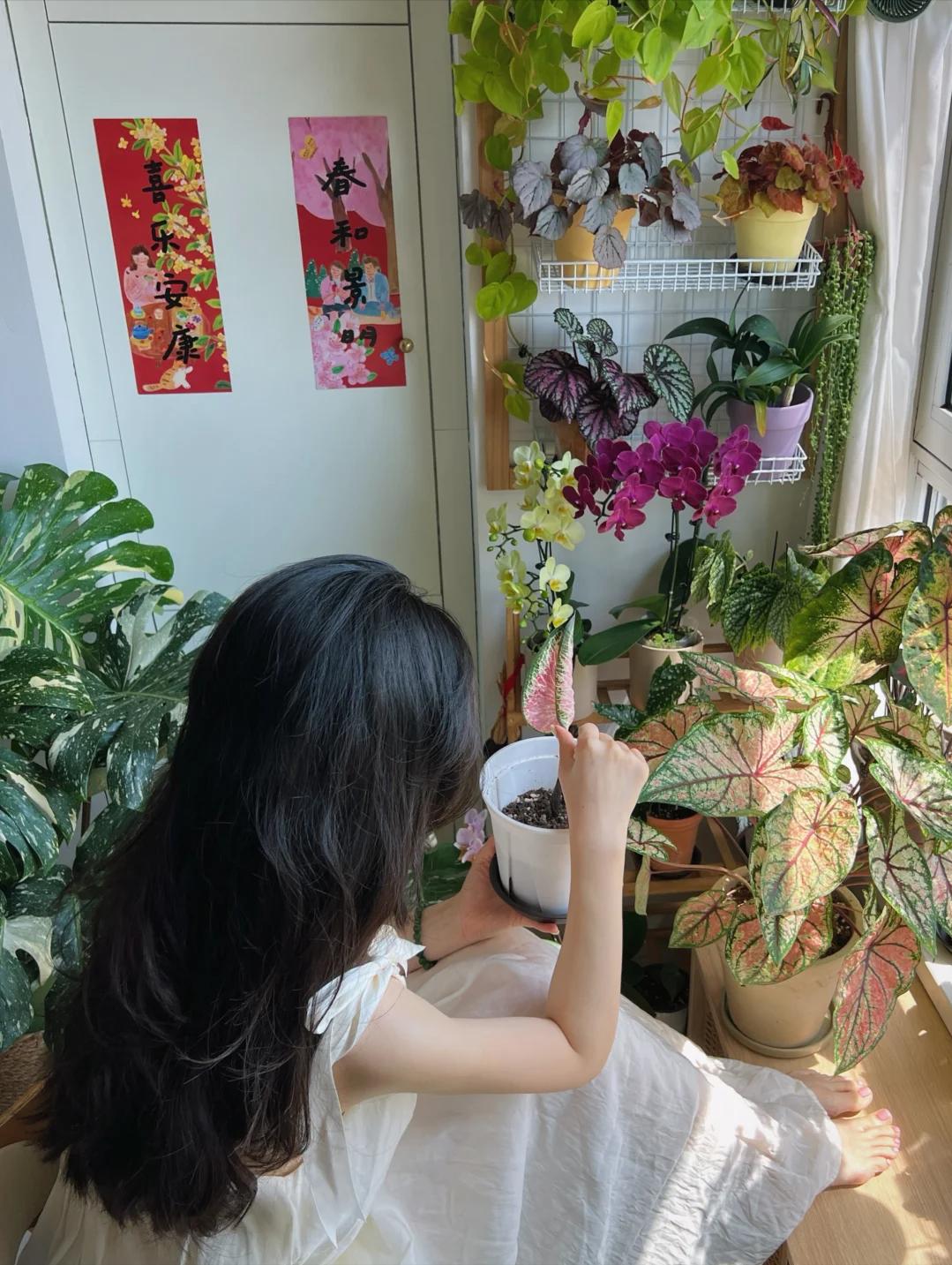 Kh&ocirc;ng nh&agrave; vườn, kh&ocirc;ng biệt thự: Ban c&ocirc;ng của b&agrave; mẹ trẻ khiến h&agrave;ng ngh&igrave;n người muốn sống chậm lại- Ảnh 4.