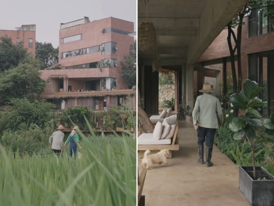 D&ugrave;ng sạch tiền tiết kiệm 10 năm để về qu&ecirc; x&acirc;y nh&agrave;: Quyết định "kh&ocirc;ng t&iacute;nh gi&aacute;" khiến c&ocirc; g&aacute;i 34 tuổi trả gi&aacute; đắt nhưng đổi lại cả cuộc đời- Ảnh 19.