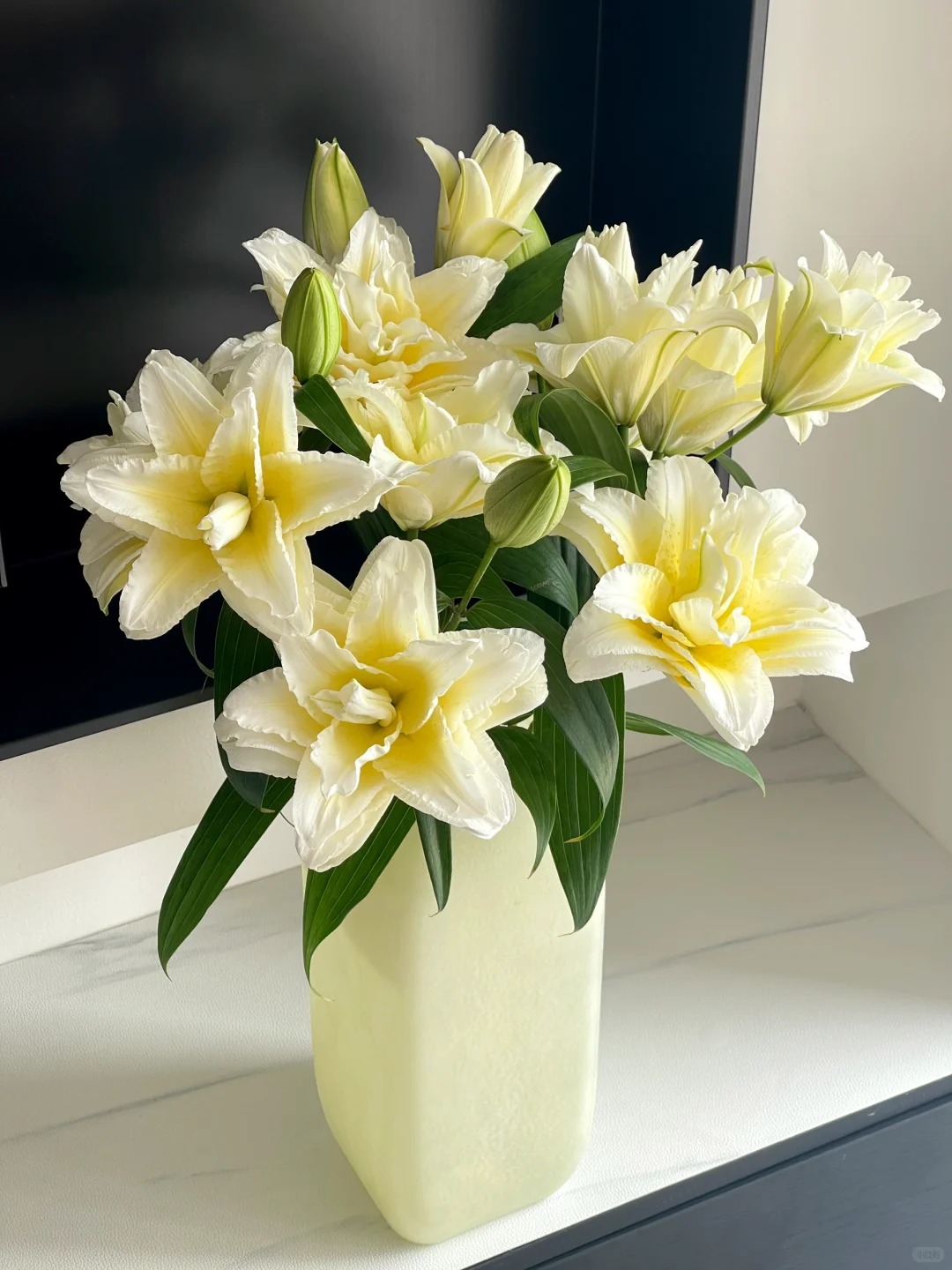 "N&agrave;ng thơ" Ludwina: Đ&oacute;a ly m&agrave;u nắng khiến hội y&ecirc;u hoa vừa y&ecirc;u vừa hận, muốn chơi Tết phải lưu &yacute; ngay kẻo "vỡ mộng"- Ảnh 17.