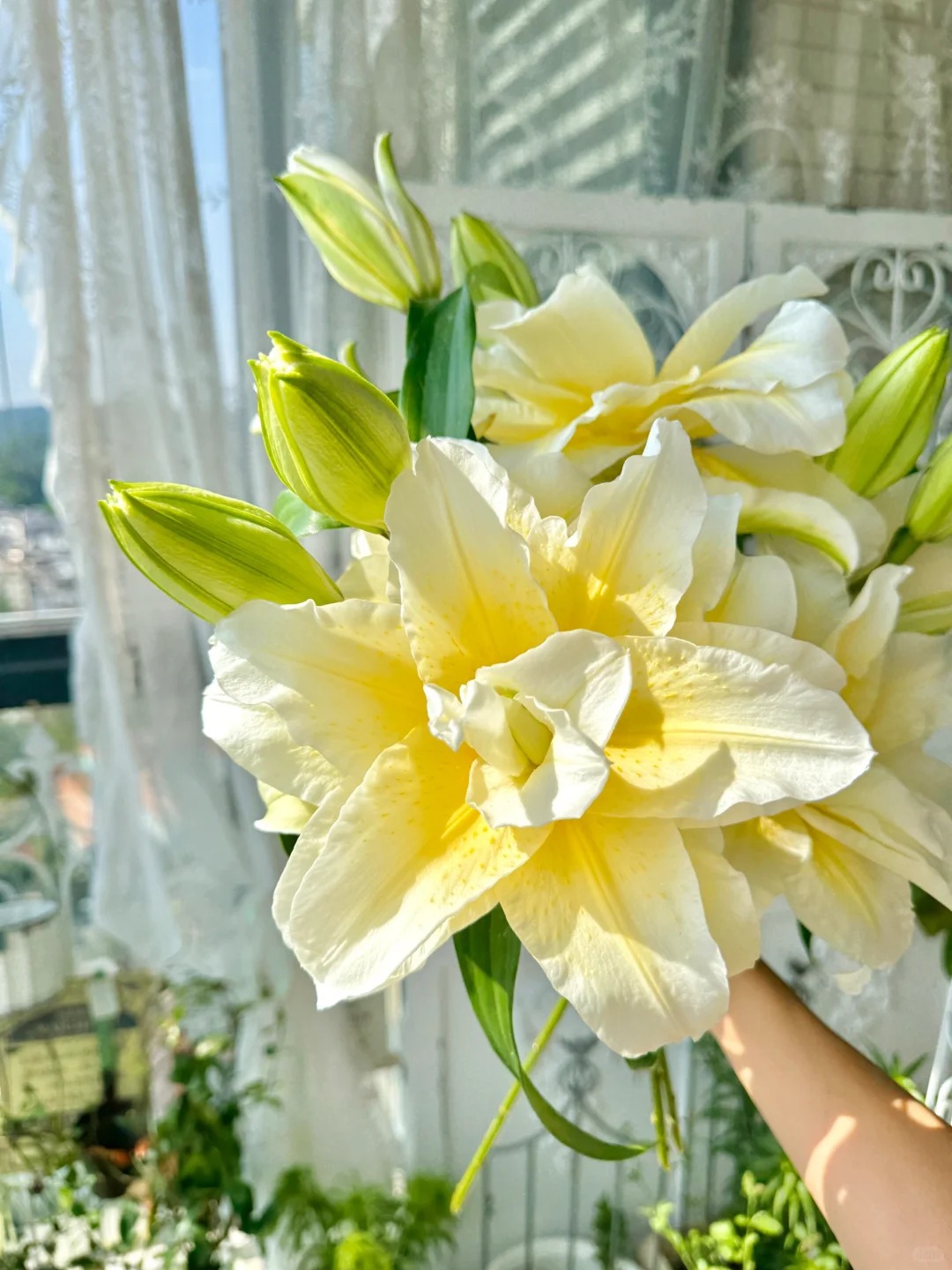 "N&agrave;ng thơ" Ludwina: Đ&oacute;a ly m&agrave;u nắng khiến hội y&ecirc;u hoa vừa y&ecirc;u vừa hận, muốn chơi Tết phải lưu &yacute; ngay kẻo "vỡ mộng"- Ảnh 23.