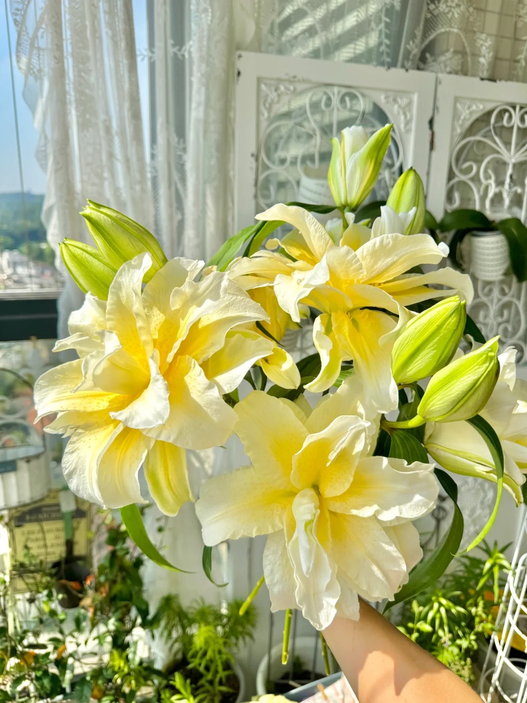 "N&agrave;ng thơ" Ludwina: Đ&oacute;a ly m&agrave;u nắng khiến hội y&ecirc;u hoa vừa y&ecirc;u vừa hận, muốn chơi Tết phải lưu &yacute; ngay kẻo "vỡ mộng"- Ảnh 22.