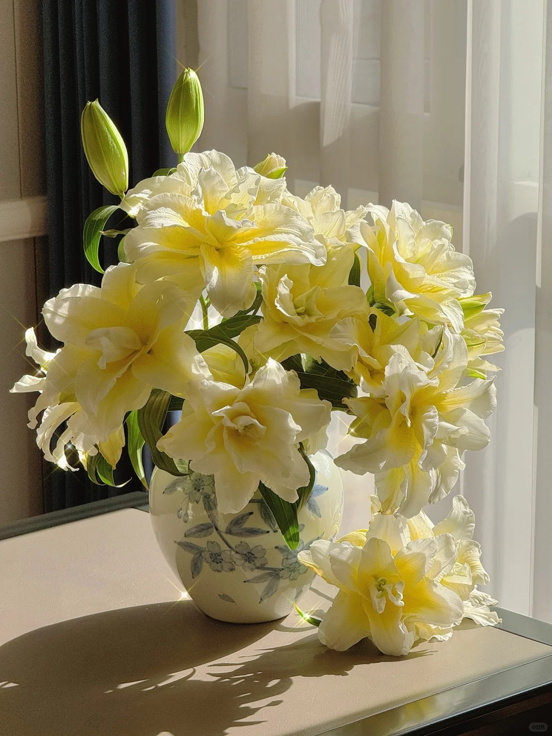 "N&agrave;ng thơ" Ludwina: Đ&oacute;a ly m&agrave;u nắng khiến hội y&ecirc;u hoa vừa y&ecirc;u vừa hận, muốn chơi Tết phải lưu &yacute; ngay kẻo "vỡ mộng"- Ảnh 9.