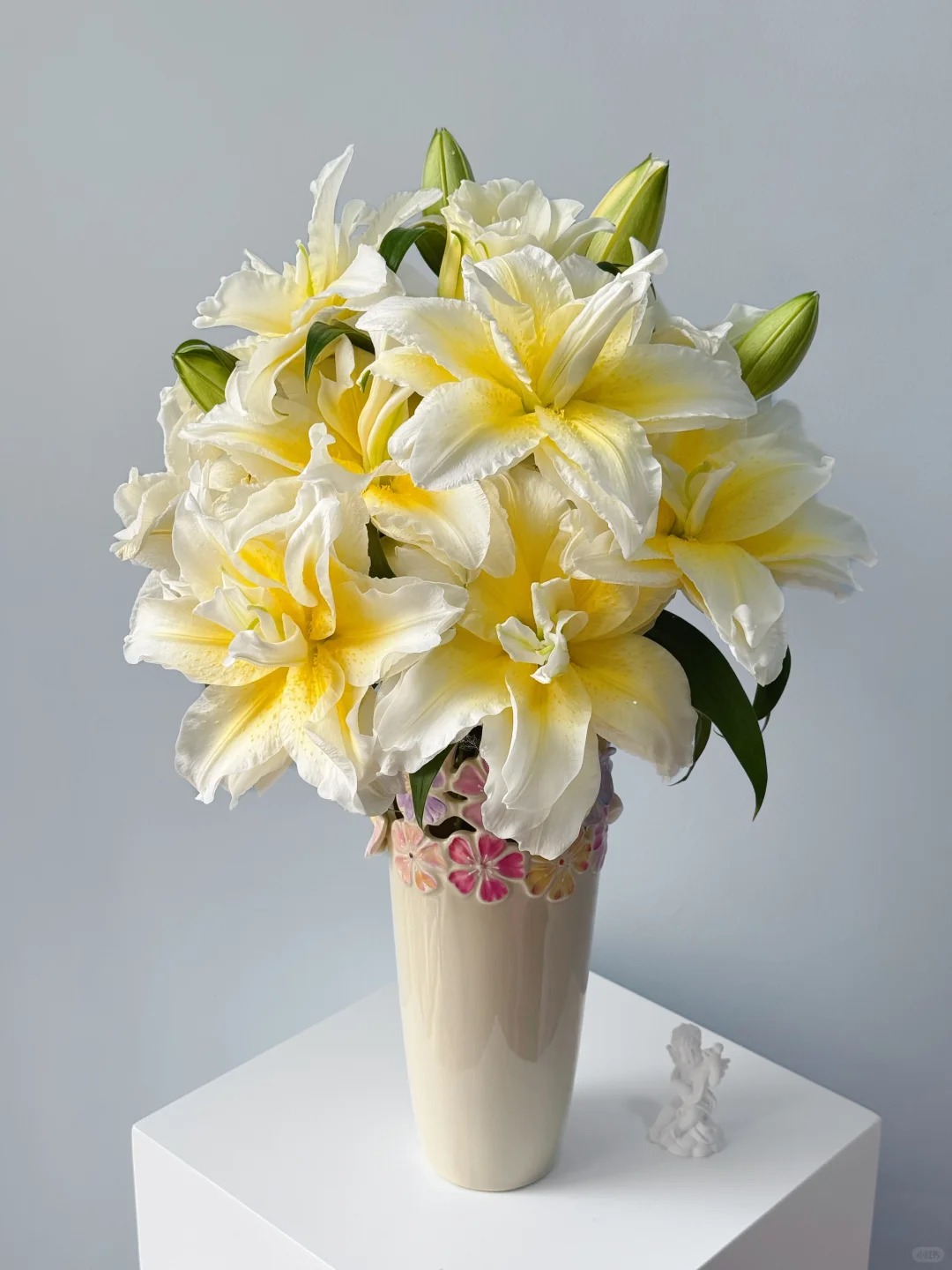 "N&agrave;ng thơ" Ludwina: Đ&oacute;a ly m&agrave;u nắng khiến hội y&ecirc;u hoa vừa y&ecirc;u vừa hận, muốn chơi Tết phải lưu &yacute; ngay kẻo "vỡ mộng"- Ảnh 13.