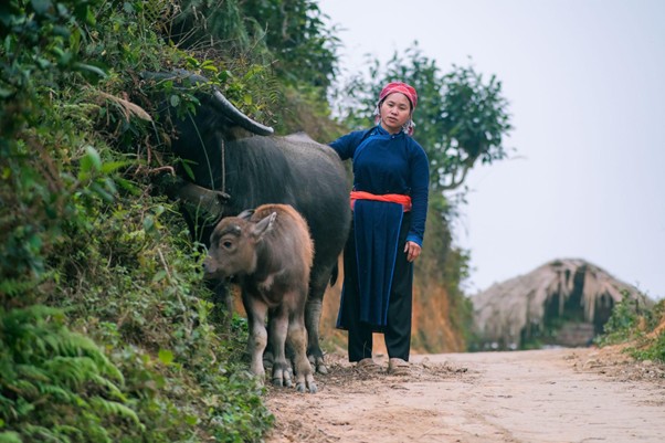 Tết n&agrave;y: Chị V&agrave;ng Thị Th&ocirc;ng, Dương Đức Anh v&agrave; &Eacute;n Fitness c&ugrave;ng c&oacute; một điều ước?- Ảnh 5.