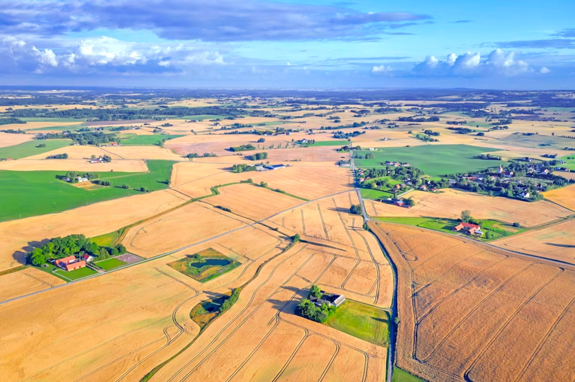 Từ &Aacute; sang &Acirc;u, cả nước gi&agrave;u cho đến c&aacute;c quốc gia đ&ocirc;ng d&acirc;n đều ồ ạt t&iacute;ch trữ loại h&agrave;ng ho&aacute; quan trọng: Chuyện g&igrave; đang xảy ra?- Ảnh 2.