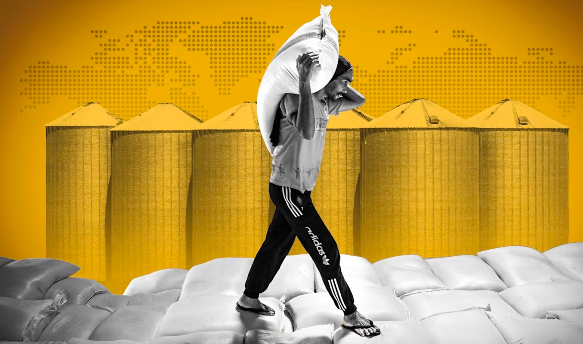 Từ &Aacute; sang &Acirc;u, cả nước gi&agrave;u cho đến c&aacute;c quốc gia đ&ocirc;ng d&acirc;n đều ồ ạt t&iacute;ch trữ loại h&agrave;ng ho&aacute; quan trọng: Chuyện g&igrave; đang xảy ra?- Ảnh 1.