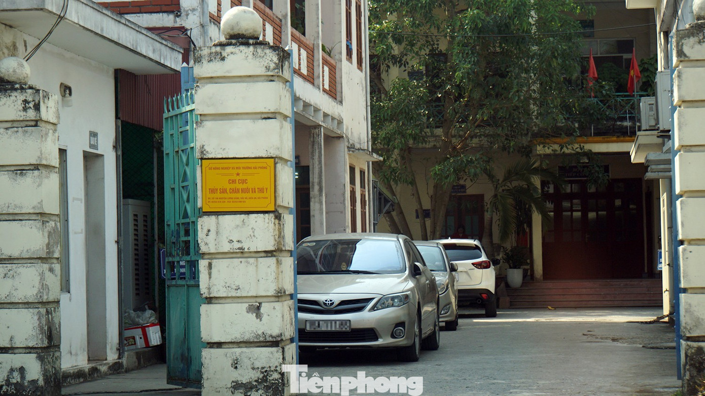 Vụ tuồn lợn dịch v&agrave;o Cty Đồ hộp Hạ Long: Tạm giữ c&aacute;n bộ kiểm dịch để x&aacute;c minh h&agrave;nh vi nhận hối lộ- Ảnh 1.