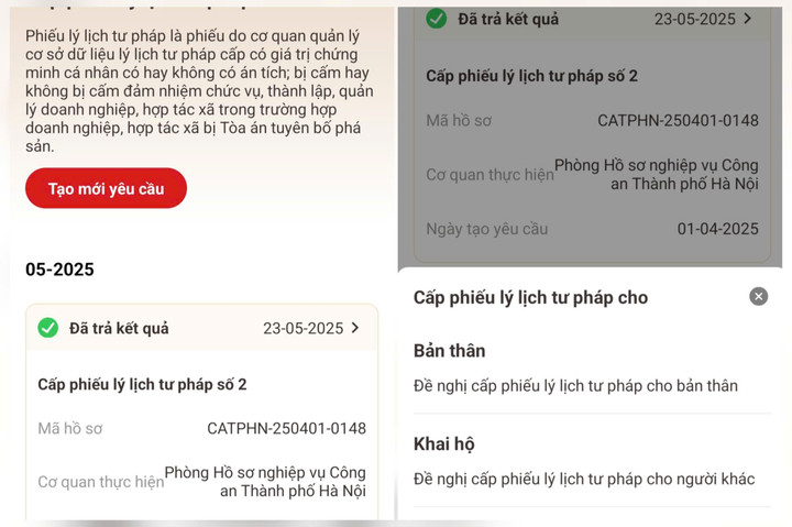3 bước đơn giản yêu cầu cấp Phiếu lý lịch tư pháp online trên VNeID- Ảnh 3.