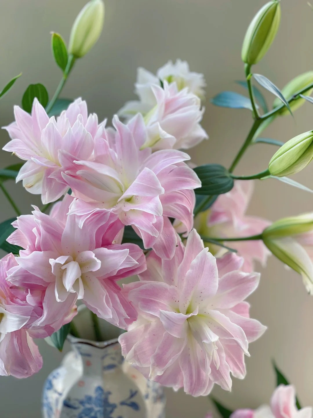 Cắm b&igrave;nh hoa b&aacute;ch hợp Isabella "đẹp như tranh" ng&agrave;y Tết: B&iacute; k&iacute;p dưỡng hoa nở đều, tươi l&acirc;u cả th&aacute;ng chỉ nhờ thứ n&agrave;y- Ảnh 13.