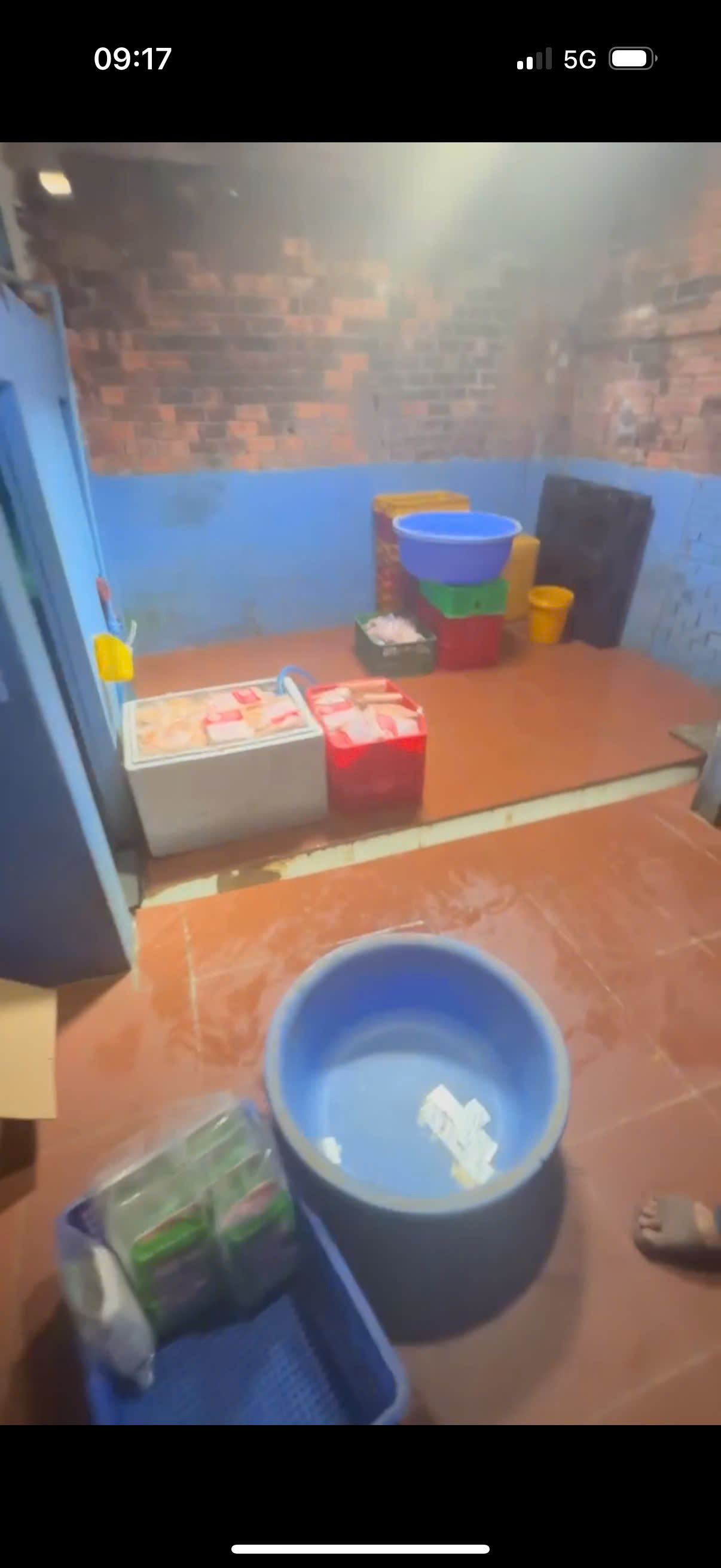 Kinh ho&agrave;ng: 50 tấn thịt heo "đội lốt" đ&agrave; điểu, d&ecirc;, nai, nh&iacute;m... cung cấp cho loạt kho lạnh, nh&agrave; h&agrave;ng tại TP.HCM v&agrave; nhiều tỉnh th&agrave;nh- Ảnh 3.