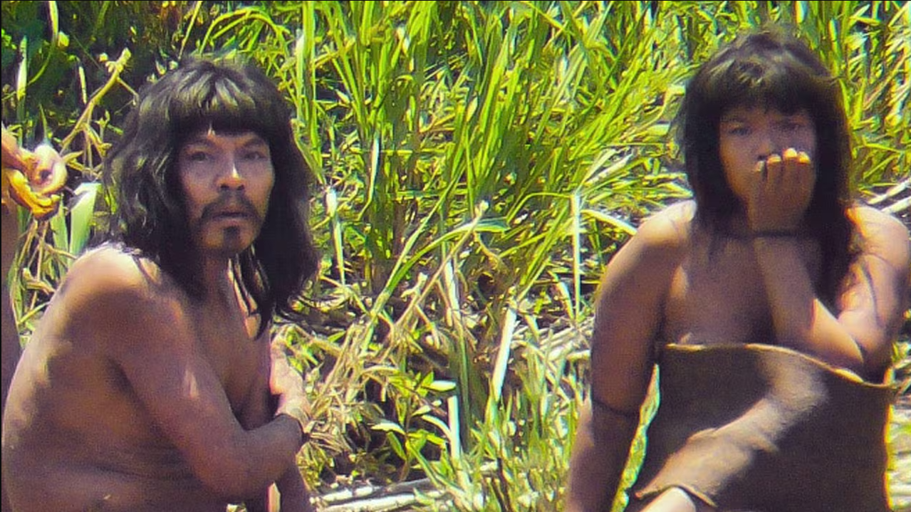 Lần đầu c&ocirc;ng bố ảnh của bộ lạc b&iacute; ẩn nhất thế giới, chuy&ecirc;n gia n&oacute;i vẫn c&ograve;n khoảng 200 cộng đồng tương tự- Ảnh 4.