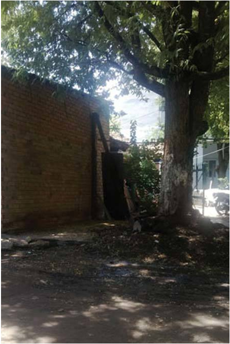 C&aacute;i kết bi thảm của người đ&agrave;n &ocirc;ng tr&uacute;ng số 7 tỷ đồng- Ảnh 3.