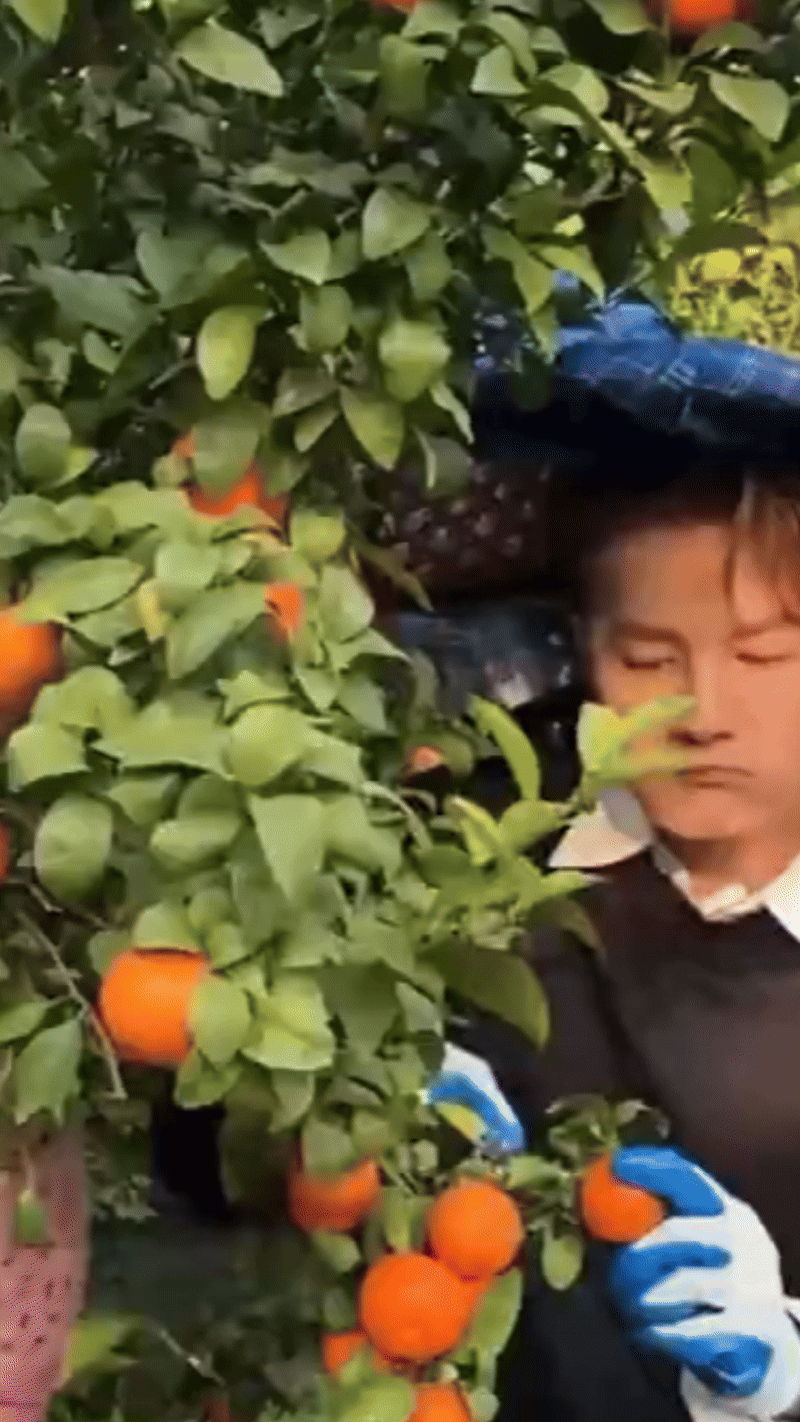 Sự hết thời của 1 Anh Trai Ch&ocirc;ng Gai: Từng khiến con g&aacute;i đại gia đi&ecirc;n đảo, giờ về qu&ecirc; đi h&aacute;t đ&aacute;m cưới dạo- Ảnh 9.