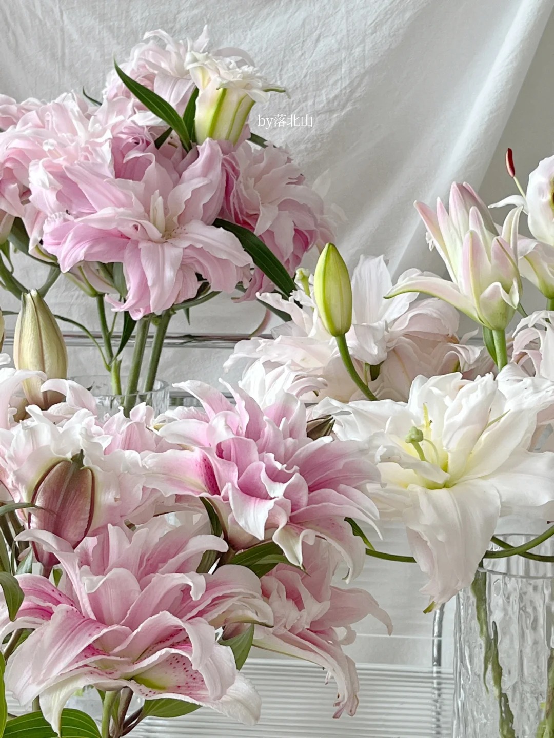 Cắm b&igrave;nh hoa b&aacute;ch hợp Isabella "đẹp như tranh" ng&agrave;y Tết: B&iacute; k&iacute;p dưỡng hoa nở đều, tươi l&acirc;u cả th&aacute;ng chỉ nhờ thứ n&agrave;y- Ảnh 10.