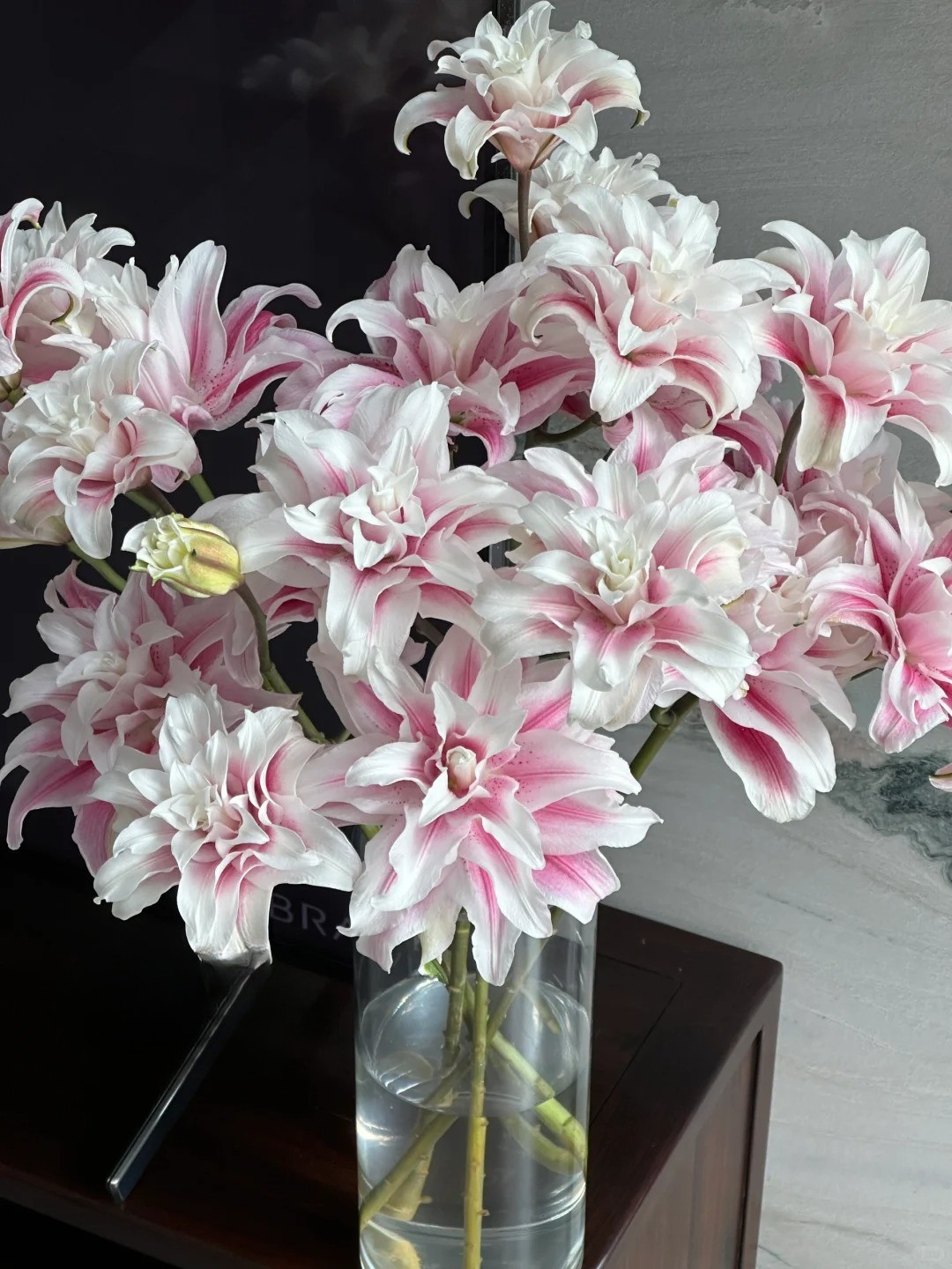 Cắm b&igrave;nh hoa b&aacute;ch hợp Isabella "đẹp như tranh" ng&agrave;y Tết: B&iacute; k&iacute;p dưỡng hoa nở đều, tươi l&acirc;u cả th&aacute;ng chỉ nhờ thứ n&agrave;y- Ảnh 7.