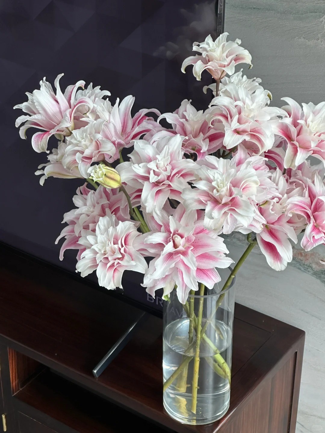 Cắm b&igrave;nh hoa b&aacute;ch hợp Isabella "đẹp như tranh" ng&agrave;y Tết: B&iacute; k&iacute;p dưỡng hoa nở đều, tươi l&acirc;u cả th&aacute;ng chỉ nhờ thứ n&agrave;y- Ảnh 5.