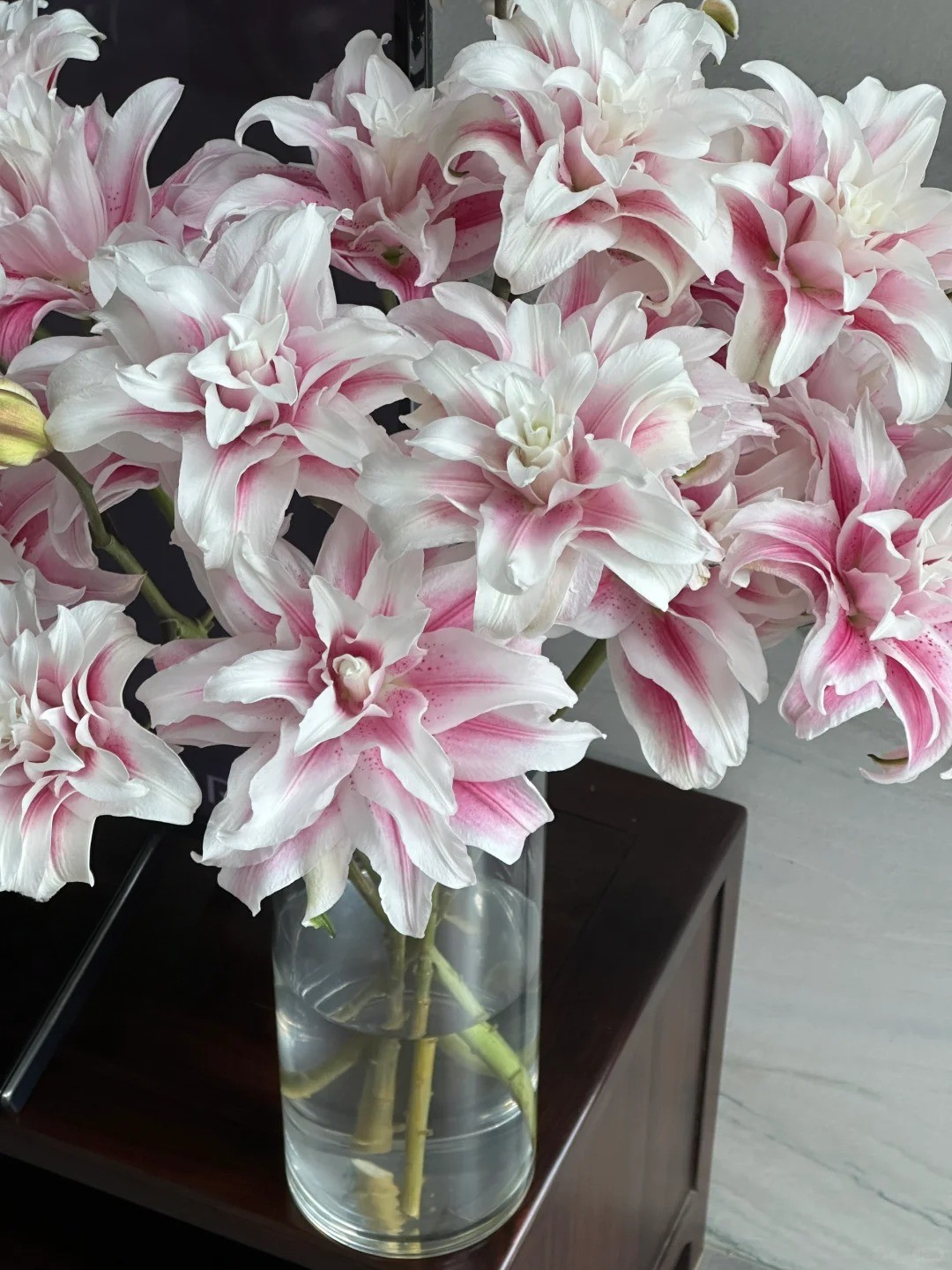 Cắm b&igrave;nh hoa b&aacute;ch hợp Isabella "đẹp như tranh" ng&agrave;y Tết: B&iacute; k&iacute;p dưỡng hoa nở đều, tươi l&acirc;u cả th&aacute;ng chỉ nhờ thứ n&agrave;y- Ảnh 4.