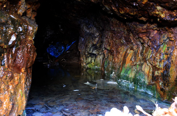 Ph&aacute;t minh biến 