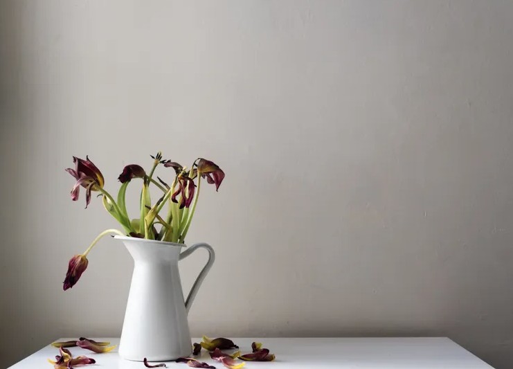 6 thứ khiến ph&ograve;ng bếp l&uacute;c n&agrave;o tr&ocirc;ng cũng bừa bộn- Ảnh 3.