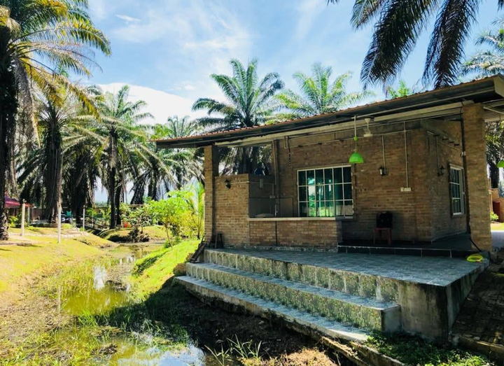 Chưa gi&agrave; đ&atilde; kiệt sức, giới trẻ Malaysia đổ x&ocirc; đến 'nh&agrave; dưỡng l&atilde;o'- Ảnh 1.