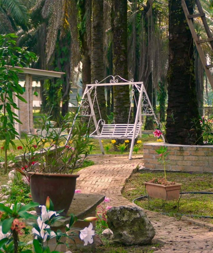 Chưa gi&agrave; đ&atilde; kiệt sức, giới trẻ Malaysia đổ x&ocirc; đến 'nh&agrave; dưỡng l&atilde;o'- Ảnh 2.