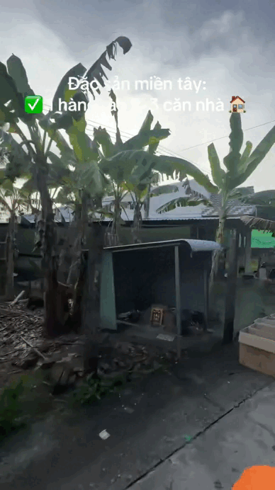 Đặc trưng nh&agrave; miền T&acirc;y, cả nước thấy th&uacute; vị- Ảnh 3.