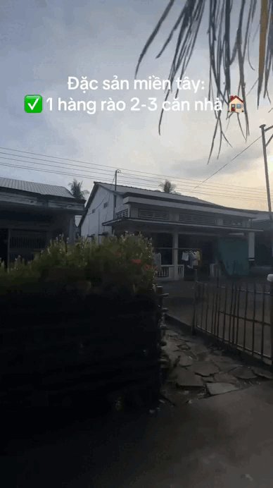 Đặc trưng nh&agrave; miền T&acirc;y, cả nước thấy th&uacute; vị- Ảnh 4.