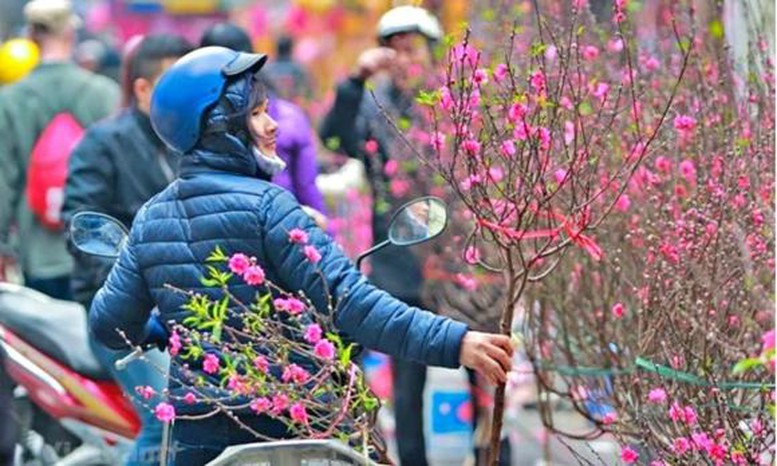 Tết Nguy&ecirc;n đ&aacute;n 2026 lạnh hơn, đề ph&ograve;ng mưa k&egrave;m r&eacute;t đậm, r&eacute;t hại- Ảnh 1.