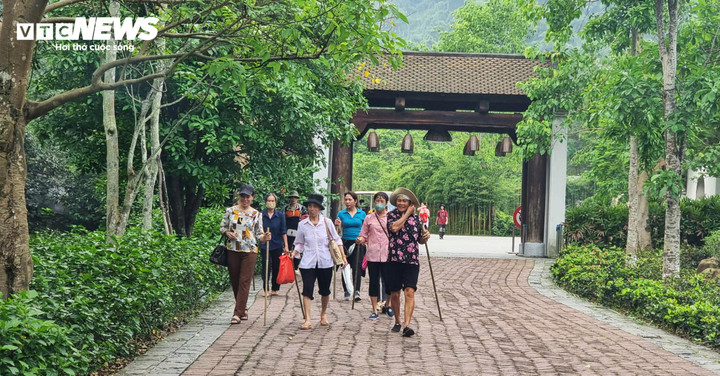 Quảng Ninh đề xuất dừng thu ph&iacute; tham quan Y&ecirc;n Tử trong 3 năm- Ảnh 2.