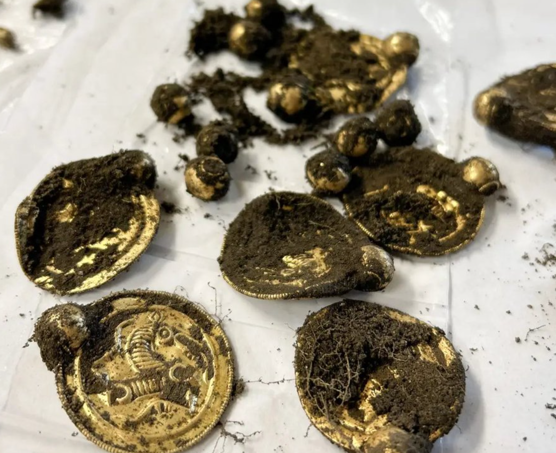 Đang đi chơi, người đ&agrave;n &ocirc;ng nhặt được "kho b&aacute;u" v&agrave;ng- Ảnh 1.