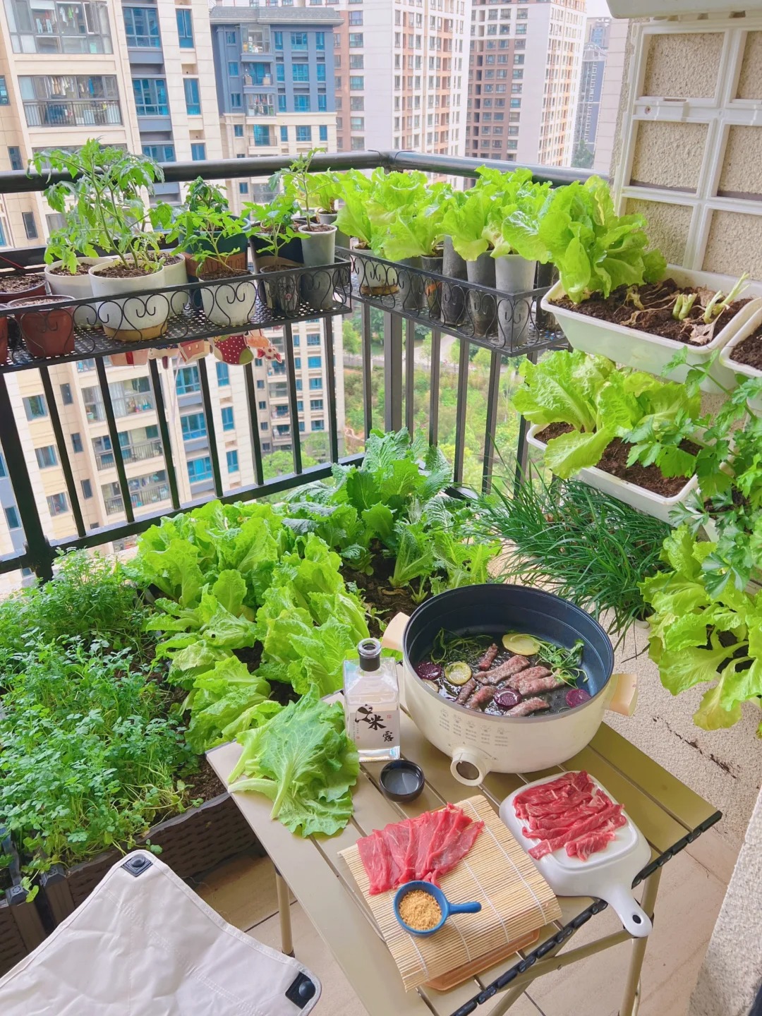 T&ocirc;i bắt đầu trồng rau tại nh&agrave; v&igrave; nghĩ cho vui, 3 th&aacute;ng sau nhận ra m&igrave;nh đ&atilde; tiết kiệm được một khoản kh&ocirc;ng nhỏ- Ảnh 3.