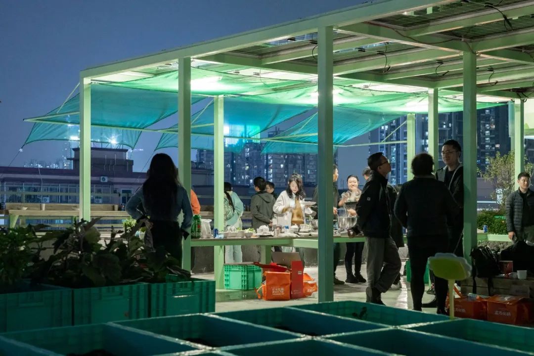 Cư d&acirc;n thu&ecirc; 1m&sup2; s&acirc;n thượng để trồng rau: Xu hướng &ldquo;n&ocirc;ng d&acirc;n đ&ocirc; thị&rdquo; gi&uacute;p tiết kiệm tiền ăn v&agrave; sống xanh giữa th&agrave;nh phố b&ecirc; t&ocirc;ng- Ảnh 6.