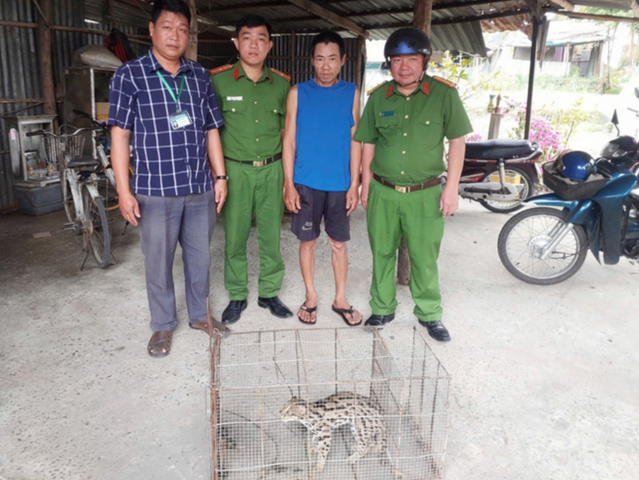 Bắt được "báu vật sống" đang có nguy cơ tuyệt chủng, người dân Tân Bình làm điều đặc biệt- Ảnh 1.