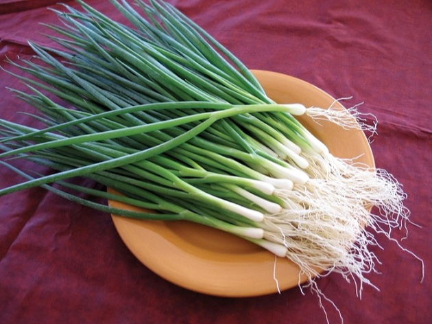 &Iacute;t người biết: Nhiều loại rau quen thuộc chứa &ldquo;kh&aacute;ng sinh tự nhi&ecirc;n&rdquo;, rất tốt cho sức khỏe khi trời lạnh- Ảnh 5.