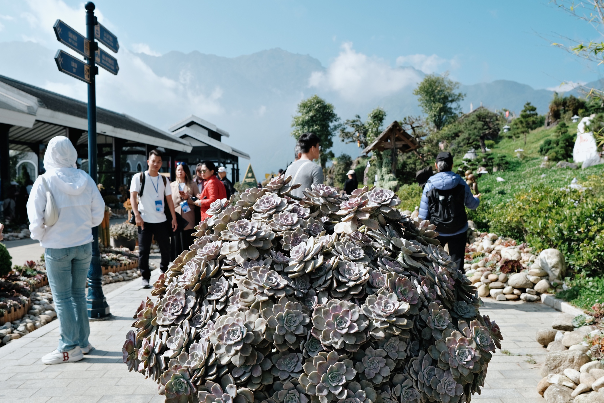 Cảnh b&aacute;o tr&agrave;o lưu ăn sống sen đ&aacute; chấm muối ớt, cẩn thận rước họa v&agrave;o th&acirc;n- Ảnh 7.