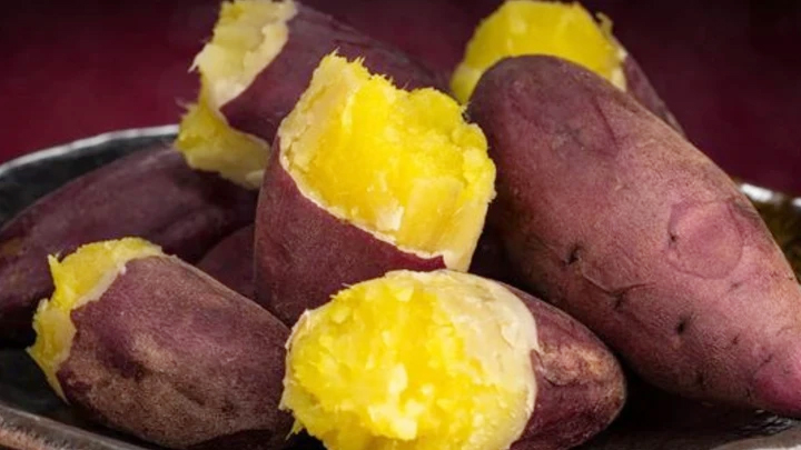 Kho dinh dưỡng từ khoai lang giúp tăng tuổi thọ- Ảnh 1.