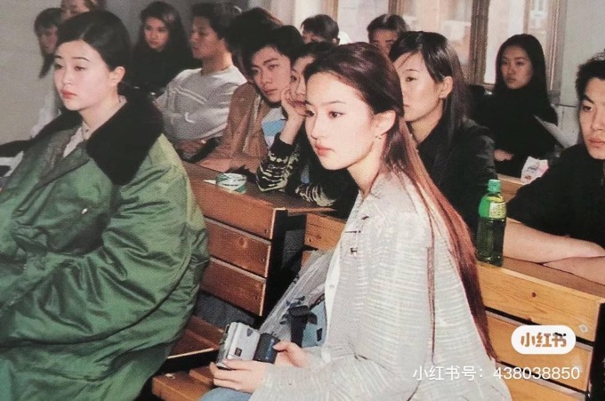 Kh&ocirc;ng ai tin đ&acirc;y l&agrave; Lưu Diệc Phi- Ảnh 3.