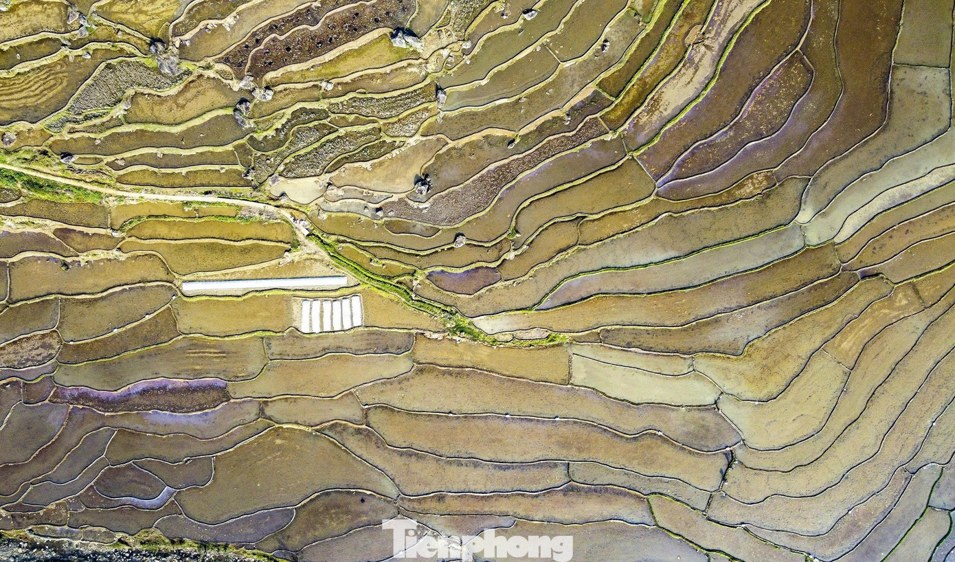 Vẻ đẹp ruộng bậc thang P&ugrave; Lu&ocirc;ng m&ugrave;a nước đổ- Ảnh 8.