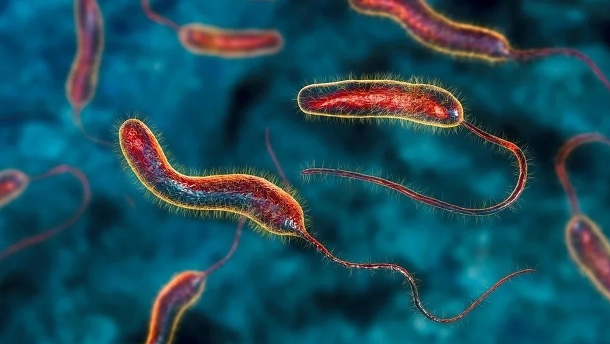 Ph&aacute;t hiện một chất tự nhi&ecirc;n c&oacute; thể l&agrave;m teo khối u ung thư- Ảnh 1.